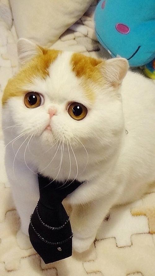 һ980!֣ݾһСթƭŻ