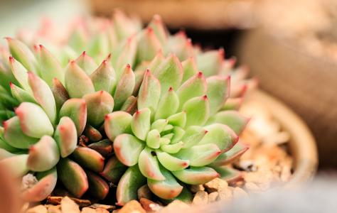 ޵ǵ1 ڹ˹Ǻ˵վݹر